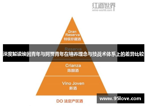 深度解读埃因青年与阿贾青年在培养理念与技战术体系上的差异比较